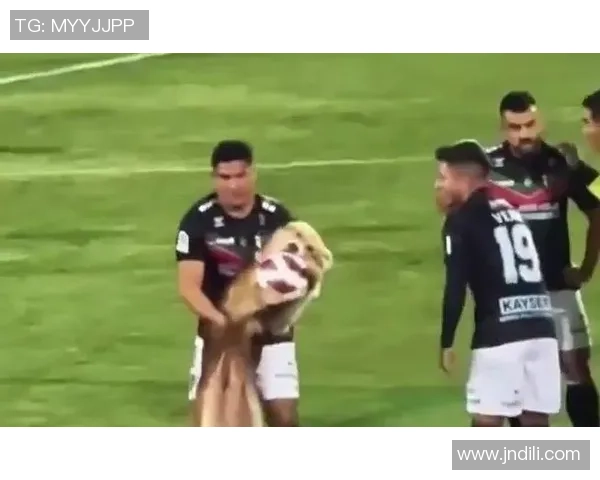 足球明星与他们心爱的宠物们的温馨故事与趣闻分享 足球明星与他们心爱的宠物们的温馨故事与趣闻分享