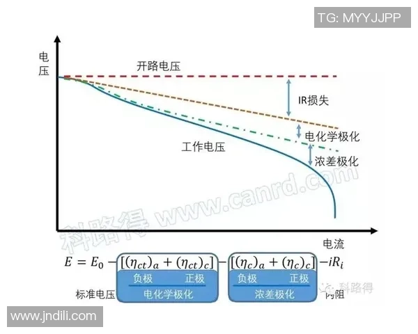 足球明星的职业生涯与服役年龄的关系探讨及其对运动生涯的影响分析 足球明星的职业生涯与服役年龄的关系探讨及其对运动生涯的影响分析