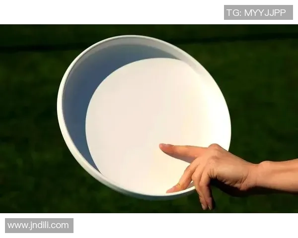 飞盘新手攻略：个人能力入门指南