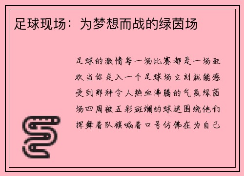 足球现场：为梦想而战的绿茵场