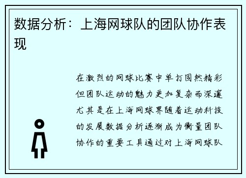 数据分析：上海网球队的团队协作表现